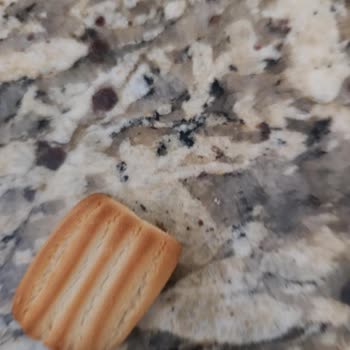 Yanmış Bebek Bisküvisi Ve Kalite Kontrolü Sorgulaması