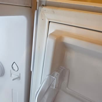 Vestel Servisinin Deneme Yanılma Tamiri Ve Hijyenik Olmayan Konsinye Cihazı