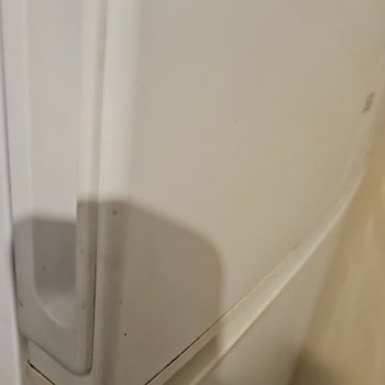 Vestel Servisinin Deneme Yanılma Tamiri Ve Hijyenik Olmayan Konsinye Cihazı