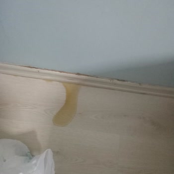 ECA Duvar Tipi Klimada İç Üniteden Sürekli Su Sızması Ve Parkelerimiz Tehlikede