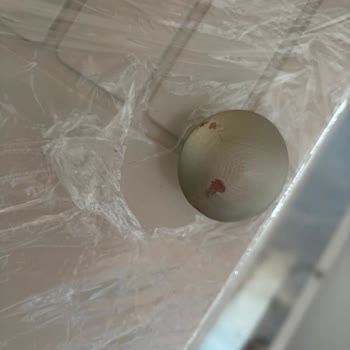 Hasarlı Mobilyalar Teslim Edildi, Değişim Reddedildi Ve Yasal Haklar İnkar Edildi