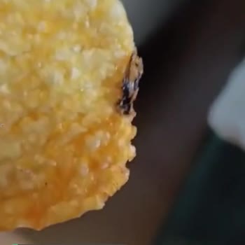 Ruffles Böcek Çıkmıştır Cips Paketinden!