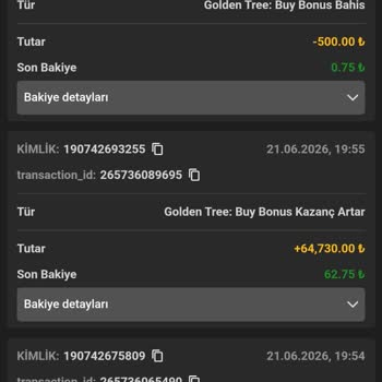 Editörbet’te 30.000 TL Bakiyem Haksızca Sıfırlandı Ve Ödeme Reddedildi