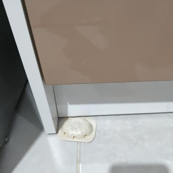Raid Karınca Yemi Etkisiz, 254 TL İadesi İstiyorum