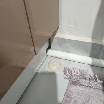 Raid Karınca Yemi Etkisiz, 254 TL İadesi İstiyorum