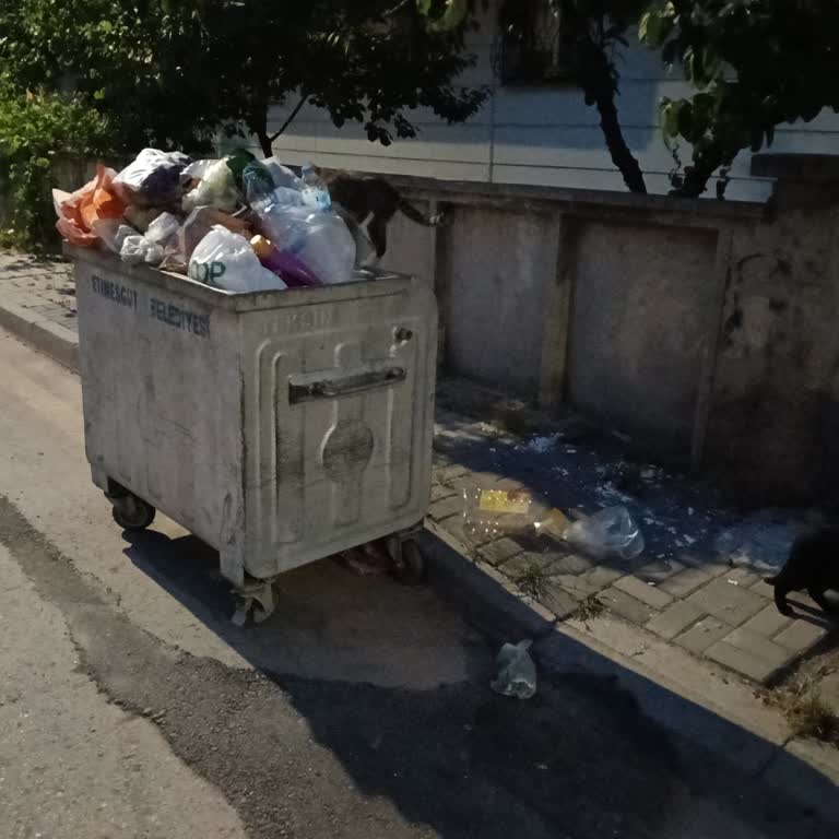 Etiler Mahallesi 1450 Sokakta Çöp Kapasitelerinin Yetersizliği Ve Çevre Kirliliği