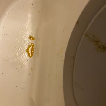 Akıllı Kedi Kum Kabında İdrar Sızdırması Ve Yoğun Koku