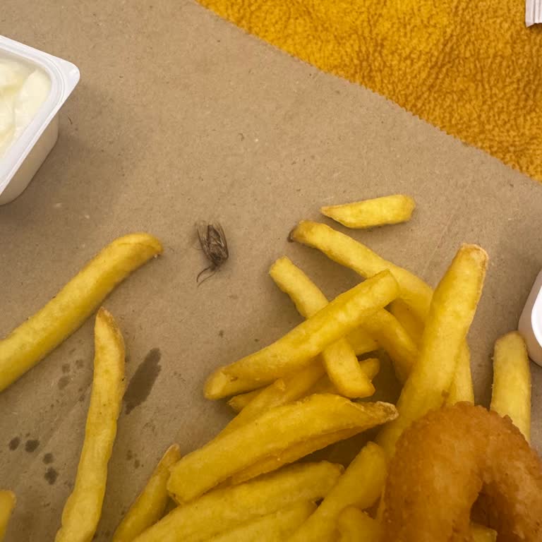 McDonald's Patates Kızartmasında Bulunan Böcek Hijyen Skandalı