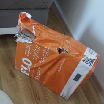 Kırık Kargo Kutusu Ve Yırtık Ayakkabı