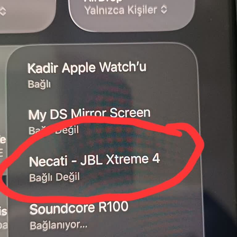 Amazon’dan Gelen Kullanılmış Hoparlör ve Tek Çözüm: İade Kodu