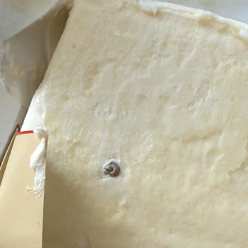 Margarinde Salyangoz Bulunması Gıda Güvenliğini Sarsıyor