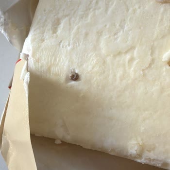 Margarinde Salyangoz Bulunması Gıda Güvenliğini Sarsıyor
