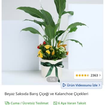 Çiçek Sepeti Solgun Çiçek Gönderimi ve Yanıltıcı Reklam