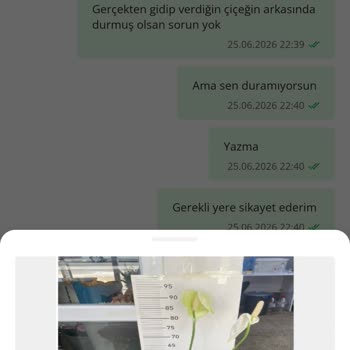 Çiçek Sepeti Solgun Çiçek Gönderimi ve Yanıltıcı Reklam