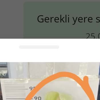 Çiçek Sepeti Solgun Çiçek Gönderimi ve Yanıltıcı Reklam
