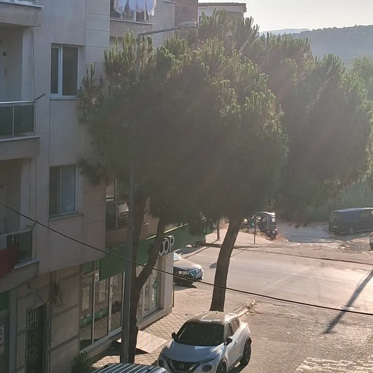 Aydem Perakende Kuşadası Davutlar Mahallesinde Sokak Aydınlatması Sorunu Ve Güvenlik Tehlikesi
