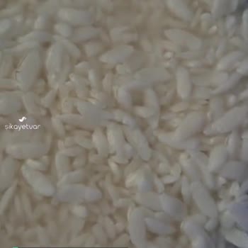Yayla Mağduriyetimizin Giderilmesi Rica Ederiz