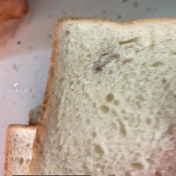 UNO Tost Ekmekleri Küflenmiş