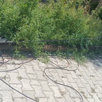 Kırılan Telekom Kabloları Nedeniyle 15 Gün Süreyle İnternet Kesintisi Ve Sokakta Tehlikeli Durum