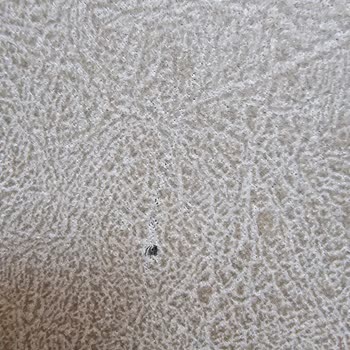Modalife Garanti Kapsamındaki Koltukta Oluşan Delik Ve Renk Solması İçin Kullanıcı Hatası İddiası