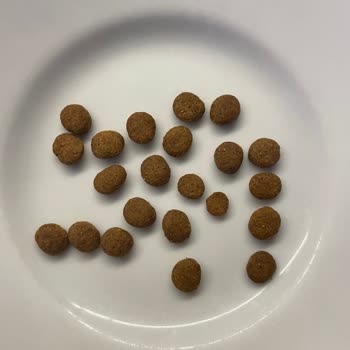 Getirçarşı Sahte Kedi Maması Ve İade Sürecindeki Belirsizlik