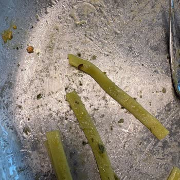Green Salads Fettucini'de Böcek Tespiti Ve Hijyen İhmalı