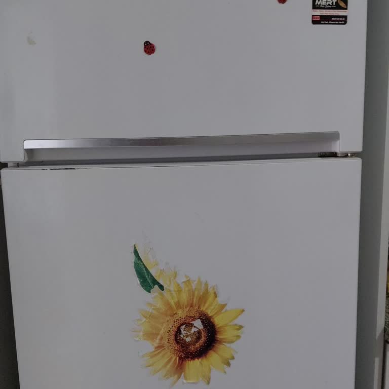 Beko Buzdolabında Gaz Kaçağı: Üretim Hatası Ve Çözüm Talebi