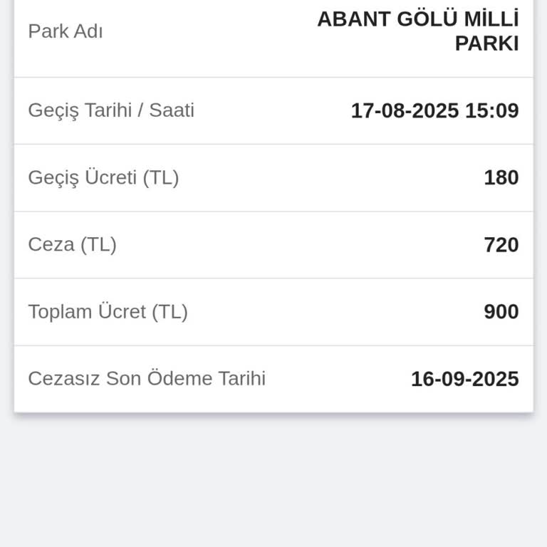 HGS'de Uyarı Eksikliği Nedeniyle Yüksek Ceza Şikayeti