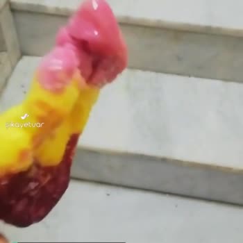 BİM Dondurma Felaketi Yaşadık!
