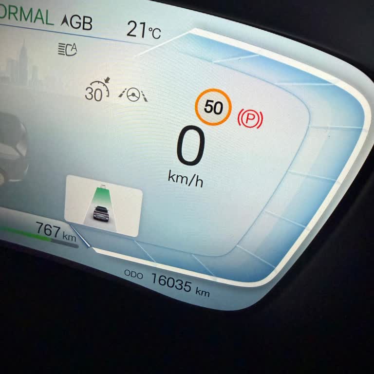Ekspertiz Raporundaki Kilometre Hatası Ve Tazminat Talebi