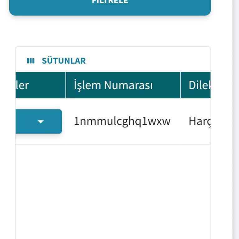 Yurt Dışı Çıkış Harç Pulunun İadesi İçin Uzun Bekleme Ve İletişimsizlik