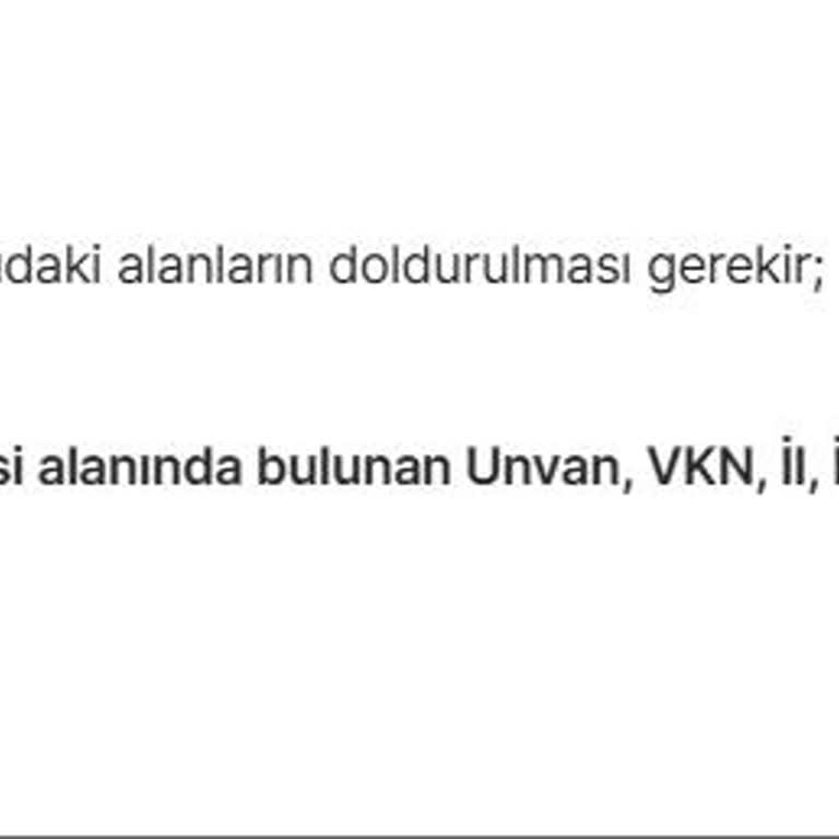 Mikro Eportal'da Fatura Kesme Hatası Ve Destek Eksikliği