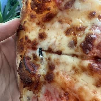 Domino's Pizza'da Sinekli Siparişte Gıda Güvenliği İhlali
