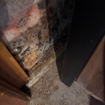 Casa Franco Hotel Ve Tatilbudur’un Yanıltıcı Oda Tanıtımı Sonucu İadesiz Rezervasyon Ve Mağduriyet