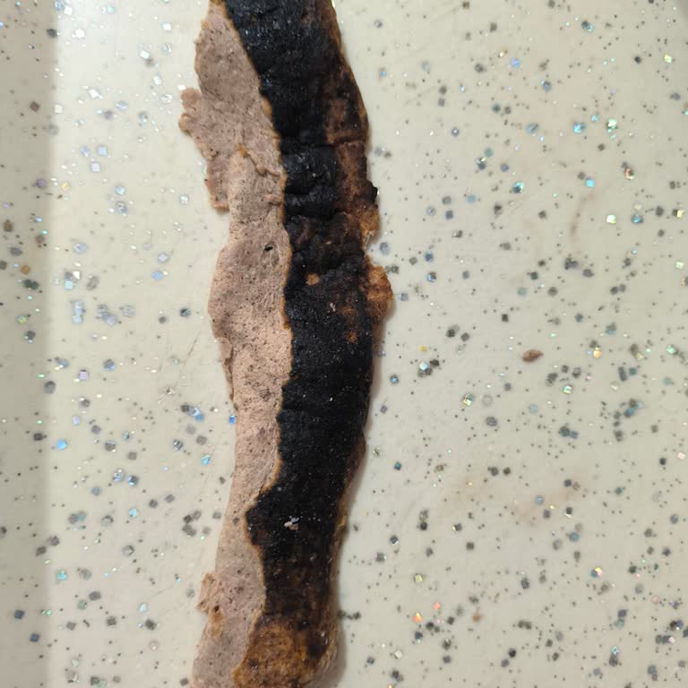 Yanmış Döner Ürünü İçin İade Talebi Ve Kalite Kontrol Şikayeti