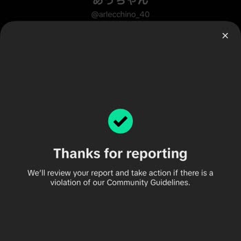 TikTok’ta Şüpheli Özel Mesaj Ve Güvenlik Açığı Raporu