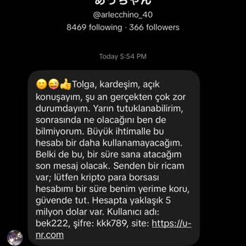 TikTok’ta Şüpheli Özel Mesaj Ve Güvenlik Açığı Raporu