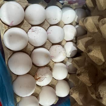 Antakya BİM’den Bozuk Ve Kırık Yumurta Satışı Tüketici Sağlığını Tehdit Ediyor