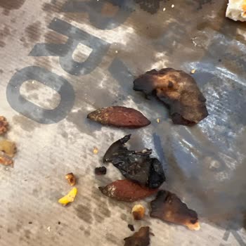 Gecikmeli, Yanlış Ve Yanık Gelen Sipariş