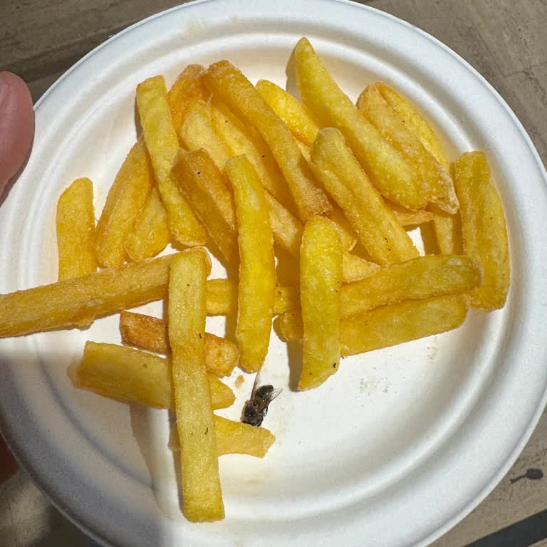 Florya Sahil Cafe Sipariş Ettiğimiz Yemeğin Patateslerinde Yanmış Bir Arı Çıkması