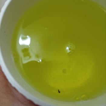 A101’de Satın Alınan Bulaşık Deterjanının İçinde Böcek Bulunması