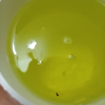A101’de Satın Alınan Bulaşık Deterjanının İçinde Böcek Bulunması