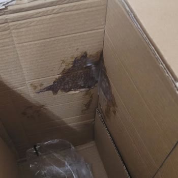 Amazon'da Gıda Ürünleri Şampuanla Aynı Koliye Konulması Ve Çikolata Kutusunda Açık Parça