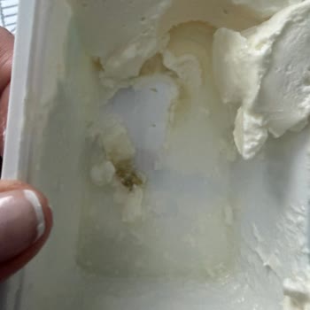 Son Kullanma Tarihi Geçmemiş Labne Peynirinde Küf Belirtisi
