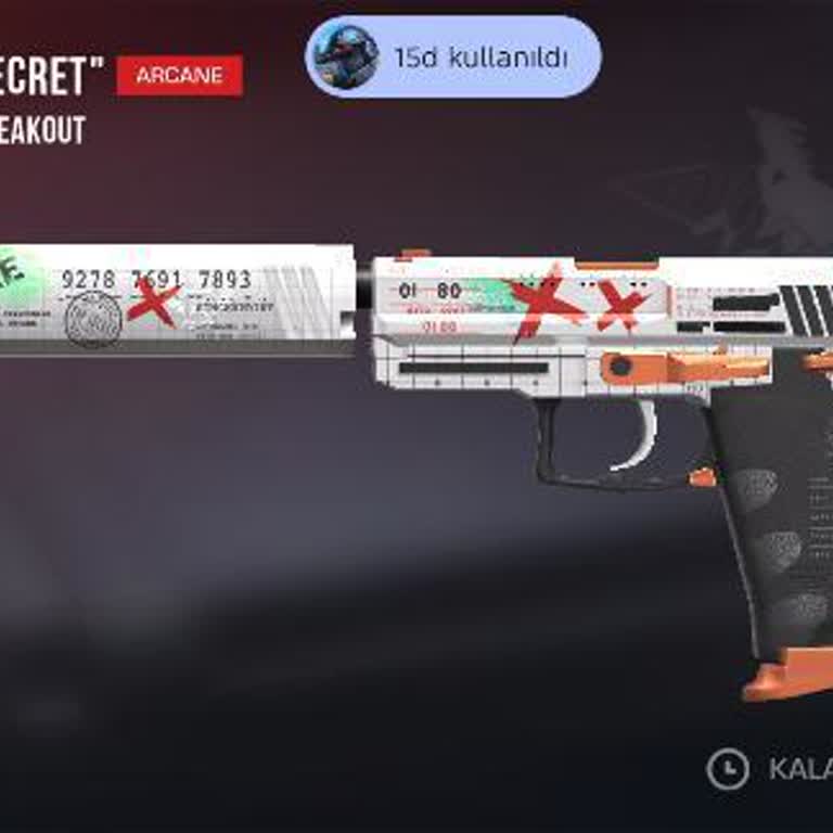 Arcane USP Kasadan Çıktı, Envanterde Kayboldu