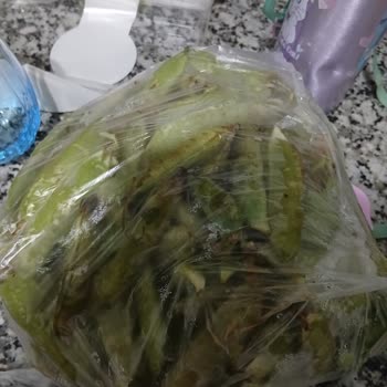 Teslimat Gecikmesi Ve Bozulmuş Ürünler Nedeniyle Memnuniyetsizlik