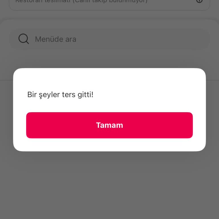 Yemeksepeti Uygulamasında Sipariş Veremiyorum: Bir Şeyler Ters Gitti Hatası