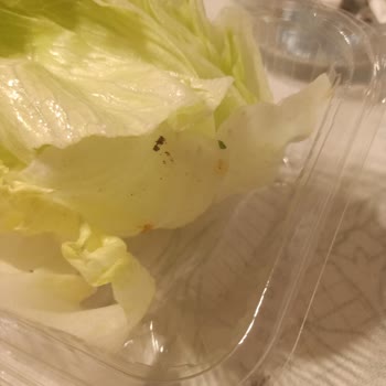Hijyenik Olmayan Çiğ Köfte Siparişi Şikâyeti