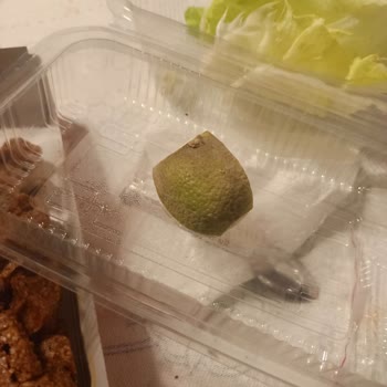 Hijyenik Olmayan Çiğ Köfte Siparişi Şikâyeti