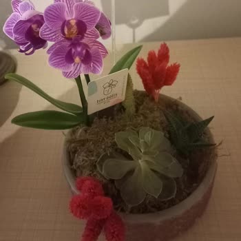 Sipariş Edilen Çiçek Aranjmanı Görseliyle Uyuşmuyor, İade Talebim Reddedildi